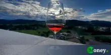 Duro colpo per i vini francesi. Sono un concentrato di pesticidi e solfiti