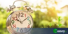 Questi 17enni stanno facendo soldi grazie alla raccolta di lupini