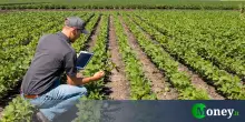 Terreni agricoli a prezzi ridotti e pagamento trentennale