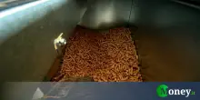 Stufa a pellet in condominio, regole e quando si può installare