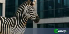 Sai quali sono le aziende zebra e cosa significa?