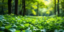 La biodiversità: un patrimonio da salvaguardare per le future generazioni