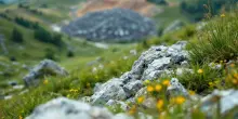 Un lupo muore in Appennino: indagini sulla discarica di Palazzuolo sul Senio