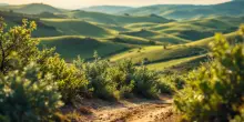 Operazione antidroga in Maremma: sei arresti e ingenti sequestri