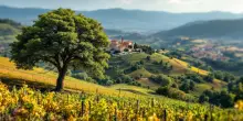 Papa Leone XIV visita Castel Gandolfo e promuove l’ecologia integrale