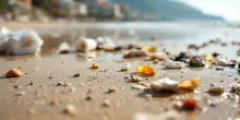 Rifiuti al Lido delle Monache: un problema da affrontare