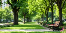 Riqualificazione del Parco Verde di Caivano: un futuro di legalità e bellezza