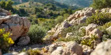 Sardegna: l’importanza dell’autonomia e degli investimenti infrastrutturali