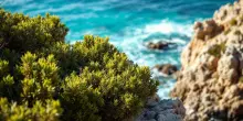 Intervento di soccorso eccezionale all’isola d’Elba
