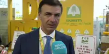 Prandini: evitare Dazi, sostituire mercato Usa non è la soluzione