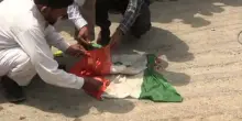 A Karachi manifestazione anti-India: bruciata la bandiera