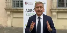 Pecoraro Scanio: “Serve una legge contro le agromafie”
