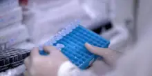 Tumori, Sos oncologi: "In Italia 14 mesi per accedere a nuovi farmaci"