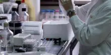 Cancro gastrico metastatico, anticorpo farmaco-coniugato migliora sopravvivenza