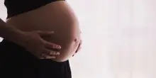 Gravidanze contemporanee: le 14 ostetriche incinte nello stesso reparto