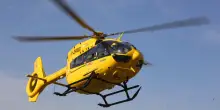 Mottarone, bimbo di 10 anni morso da una vipera: trasportato d’urgenza in ospedale