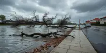 Emergenza maltempo in Emilia-Romagna: danni ingenti e strade allagate