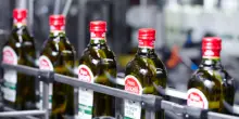 Olio: Coricelli, fatturato record di 415 milioni nel 2024, +25%