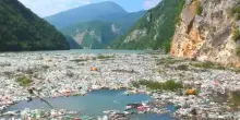 Giornata Mondiale dell’Ambiente, il report WWF su plastiche e rischi