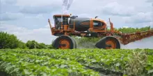 Agricoltura, Claudio Risso confermato presidente di Terra Viva
