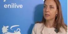 Sardellitti (FuelsEurope): "I biocarburanti sono già pronti e disponibili