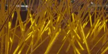 Il festival delle luci illumina la Marina Bay di Singapore