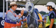 Endurance equestre, a Castiglione del Lago il campionato europeo