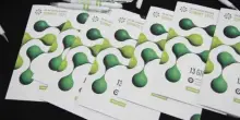 A Napoli innovazione e sostenibilità per le pelli del futuro