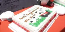 Festa per i 35 anni di Xin Xin, l’ultimo panda gigante del Messico