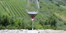 AMARONE IN CAPITALE, I CALICI DI VALPOLICELLA PROTAGONISTI A ROMA