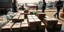Operazione contro il traffico di droga a Gioia Tauro