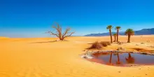 Temperature record nel 2025: il mondo affronta un cambiamento climatico allarmante