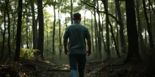 Cosa è successo realmente con Allen? I dettagli sorprendenti