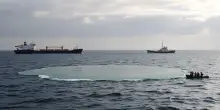 Disastro marittimo nel Mare del Nord: cosa non ci dicono