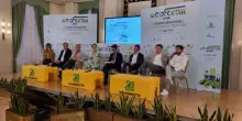 Ambiente, sondaggio: il 79% degli italiani vede benefici dalla transizione ecologica
