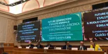 Evento al Senato, ruolo e impatto ricerca e innovazione veterinaria su salute