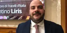 Animali, Di Brino (Altems Advisory): "Governare aumento importante di cani e gatti"