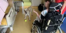 Sma, al Besta studio benefici pet therapy con Purina e Frida’s Friends