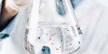 Microplastiche nei fluidi riproduttivi umani, timori per la fertilità