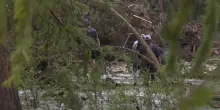 Texas, oltre 80 morti per l’alluvione, si cercano ancora dispersi
