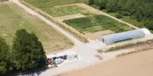 Agricoltura, MartinoRossi in campo per innovazione sostenibile con progetti sperimentali