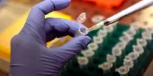 Tumori, Fondazione Aiom: "Oltre 1,2 mln di italiani ad alto rischio forme ereditarie"