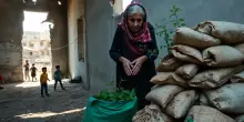 Gaza: una crisi umanitaria sotto silenzio