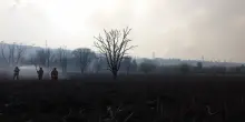 Incendi devastanti in Turchia: la situazione si fa critica