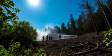 Incendi estivi: tutto ciò che devi sapere per difendere la natura