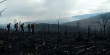 Incendi in Toscana: cosa ci dicono i dati