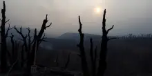 Incendi in Turchia: la catastrofe che nessuno vuole vedere
