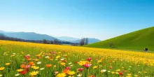 Previsioni meteo: sole e temperature gradevoli in arrivo