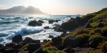 Terremoto di Kamchatka: cosa ci dicono i dati