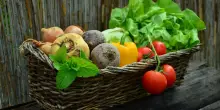 Quali sono i benefici delle verdure?